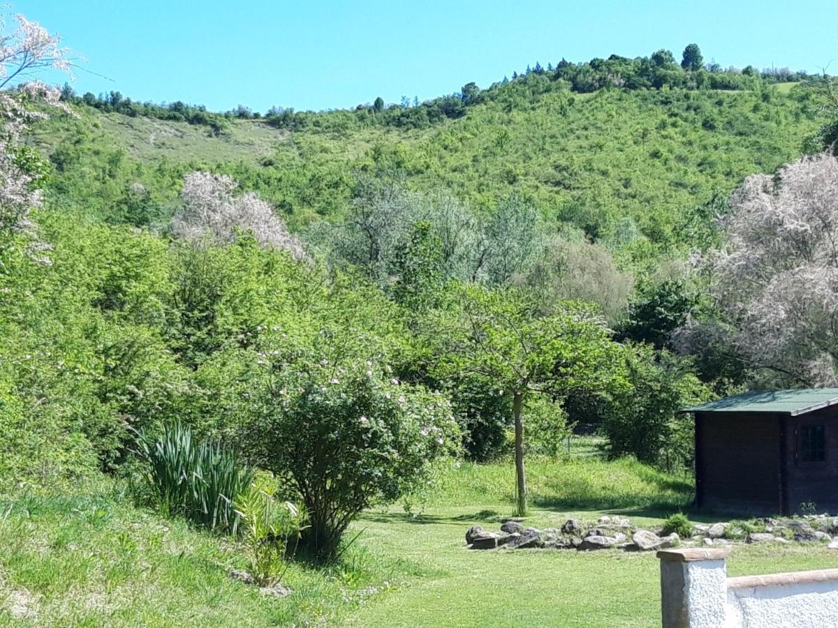 Il Baiocchino Bed and Breakfast Castel San Pietro Terme Exteriör bild